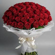 Букет 101 Красная роза Блэк Мэджик в Бахтеево