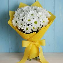 Букет цветов из:  Хризантемы в Бахтеево