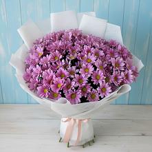 Букет цветов из:  Хризантемы в Бахтеево