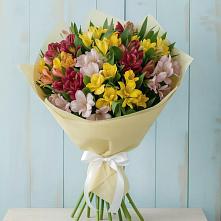 Букет цветов из:  Альстромерии в Бахтеево