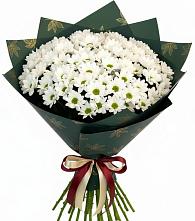 Букет цветов из:  Хризантемы в Бахтеево