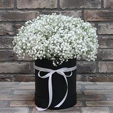 Цветочная композиция из Гипсофила в шляпной коробке #REPLACE_PRED# Бахтеево