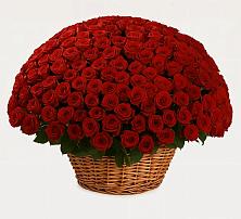 Премиум букет из: Розы в Бахтеево