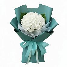 Букет цветов из:  Гортензия в Бахтеево
